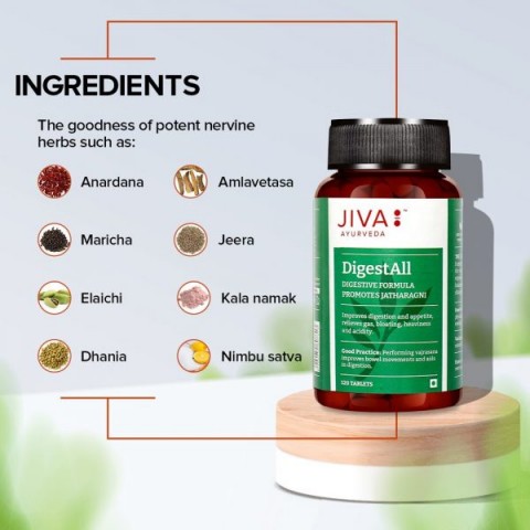 Пищевая добавка DigestAll, Jiva Ayurveda, 120 таблеток