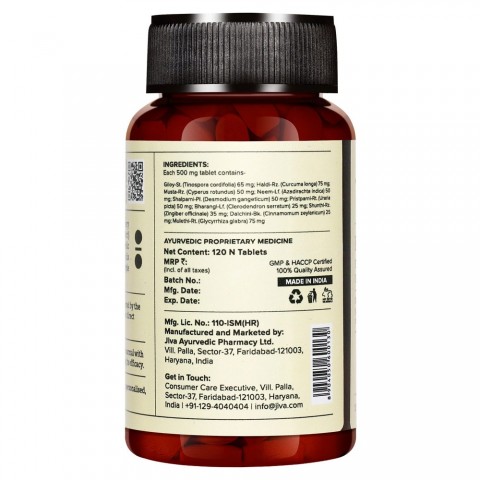 Food supplement Flucon, Jiva Ayurveda, 120 tablets