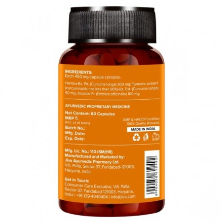 Turmeric with Amla, Jiva Ayurveda, 60 capsules