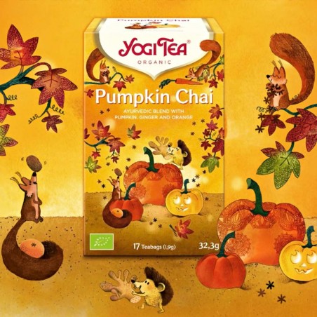 Spiced tea Pumpkin Chai, Yogi Tea, organic, 17 bags