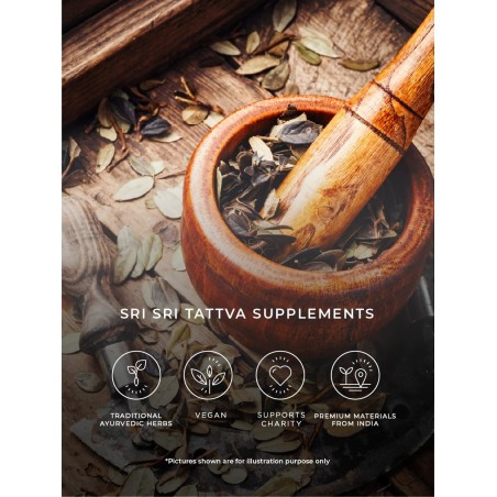 Lašai virškinimui Ajamoda Arka, Sri Sri Tattva, 30ml
