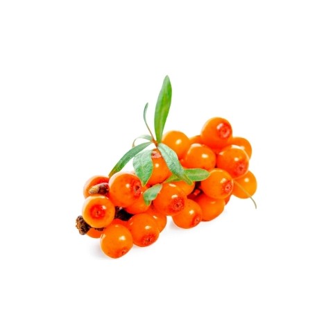 Multivitamins for children Sea buckthorn gummies Jungle World, Terezia, 70 pcs.