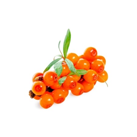 Multivitamins for children Sea buckthorn gummies Jungle World, Terezia, 70 pcs.