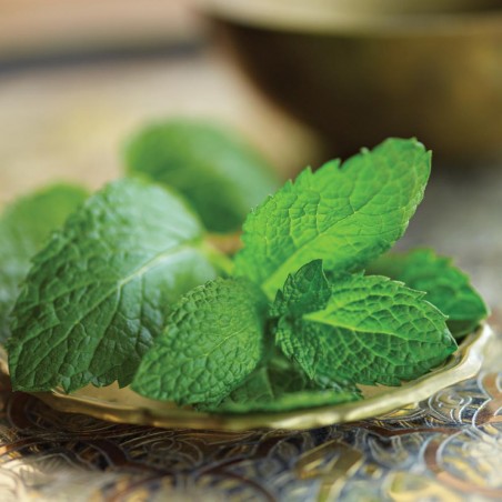 Marokkolainen minttutee, luomu, Numi Tea, 18 pakettia