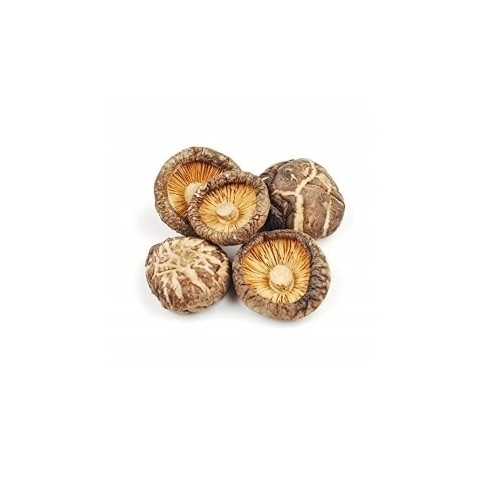 Shiitake sieni rhodiolan kanssa, Terezia, 60 kapselia