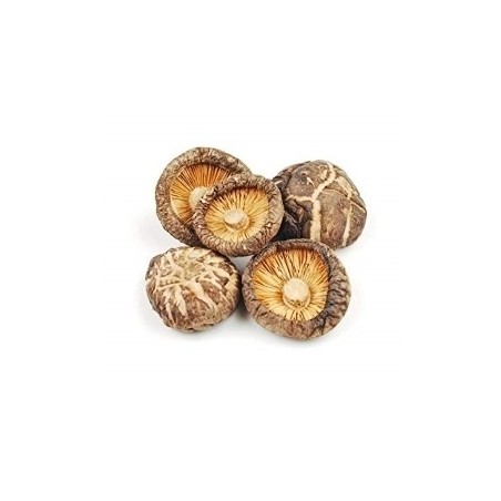 Shiitake sieni rhodiolan kanssa, Terezia, 60 kapselia