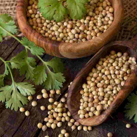 Dhania whole coriander seeds, TRS, 100g