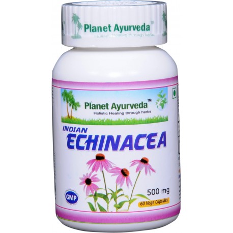 Maisto papildas Skėstašakis kamras Indian Echinacea, Planet Ayurveda, 60 kapsulių