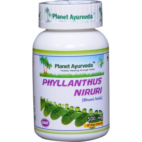 Пищевая добавка Phyllanthus Niruri, Planet Ayurveda, 60 капсул