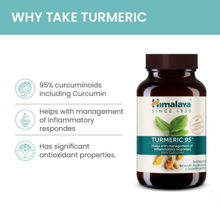 Turmeric 95 Organic, Himalaya, 60 capsules