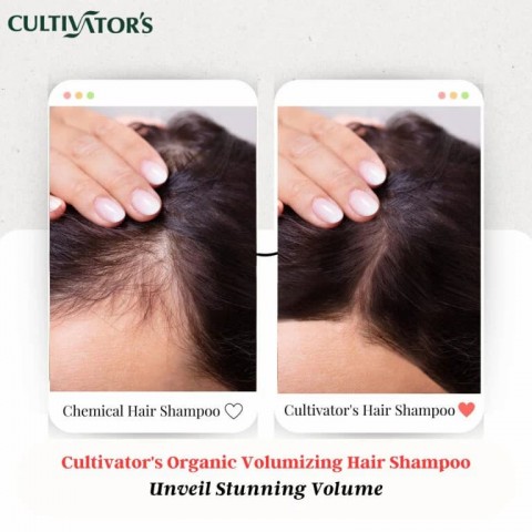 Vegetable Hair Shampoo Powder for Volumizing Volumizing, Cultivator's, 250g