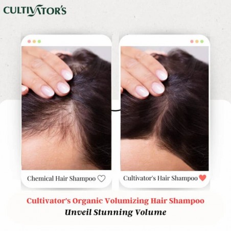 Vegetable Hair Shampoo Powder for Volumizing Volumizing, Cultivator's, 250g