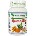 Food supplement RumoGin 5, Planet Ayurveda, organic, 60 capsules