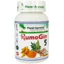 Maisto papildas "RumoJin5", Planet Ayurveda, 60 kapsulių