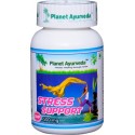 Пищевая добавка Stress Support, Planet Ayurveda, 60 капсул