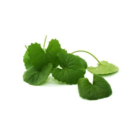 Пищевая добавка Gotu Kola, Planet Ayurveda, 60 капсул