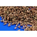 Ajwain kuminan siemenet, TRS, 100g