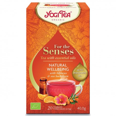 Prieskoninė arbata Natural Wellbeing, Yogi Tea, 20 pakelių