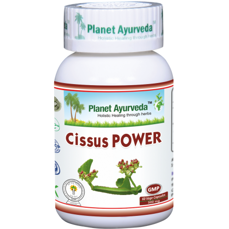 Maisto papildas Cissus Power, Planet Ayurveda, 60 kapsulių