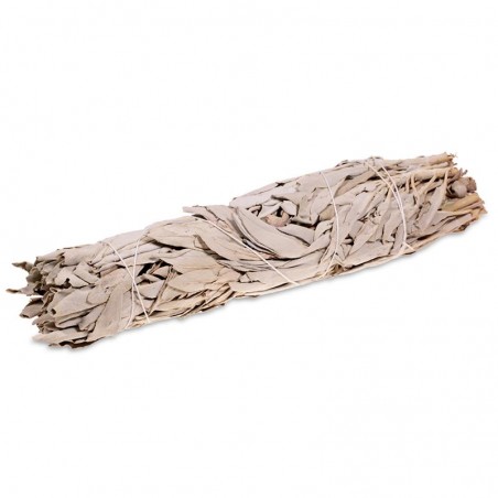 Valkosalvia Smudge, L nippu, 90 g